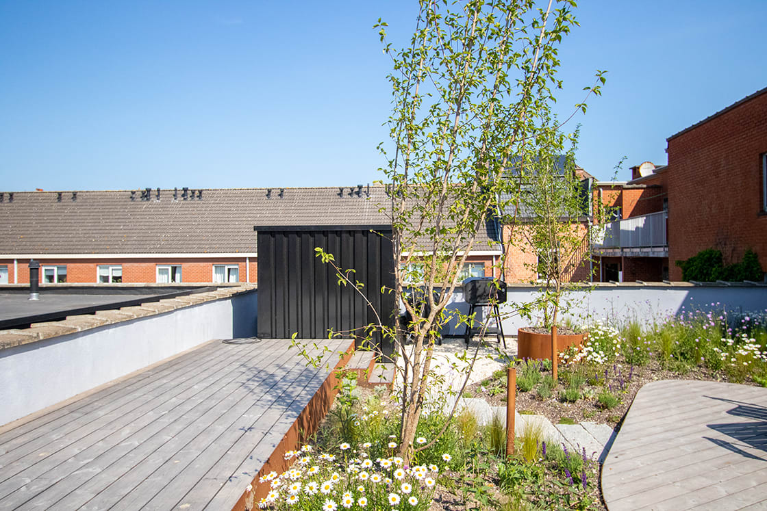 Daktuin in Gent, foto 6