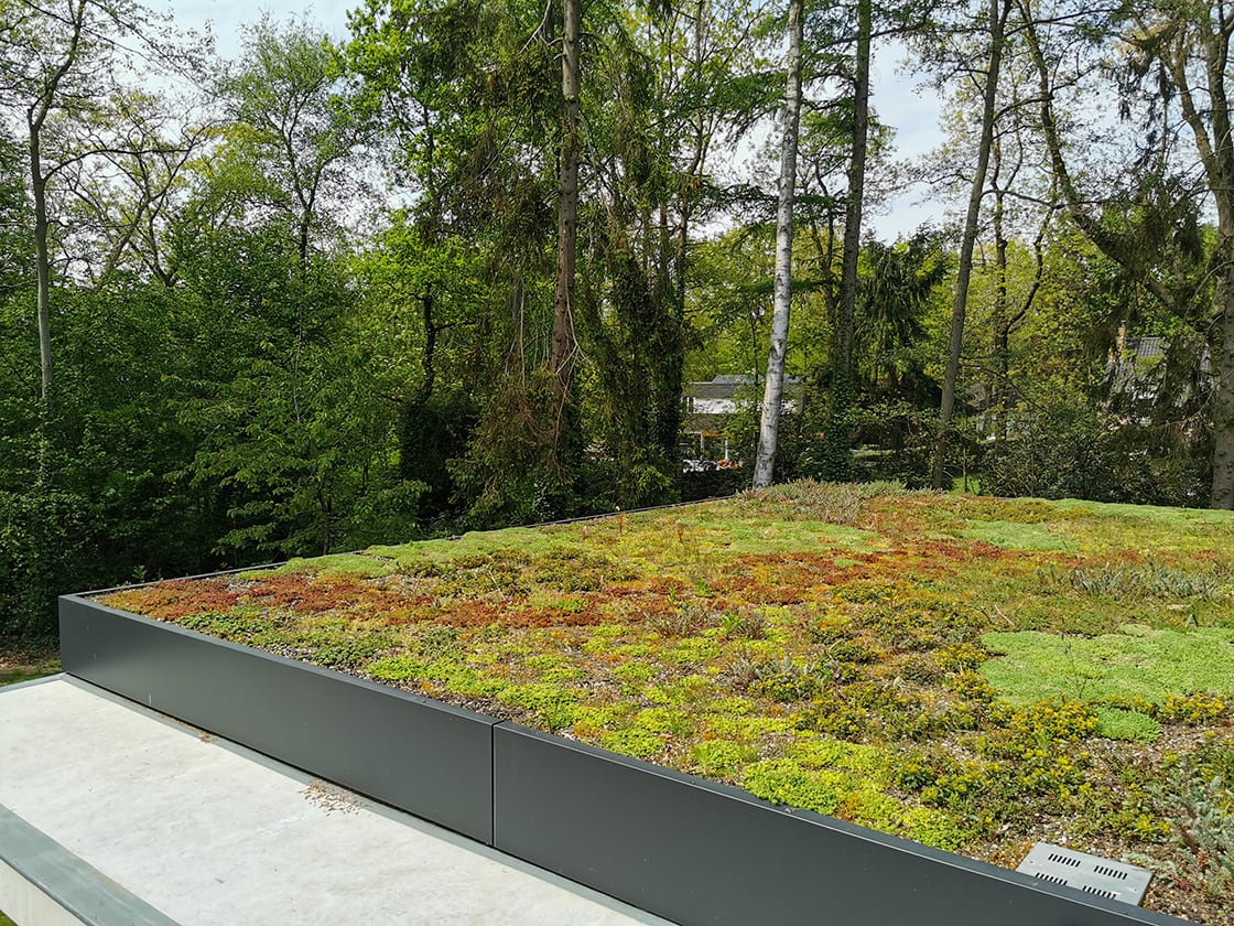 Semi-intensief groendak in Aalter, foto 3
