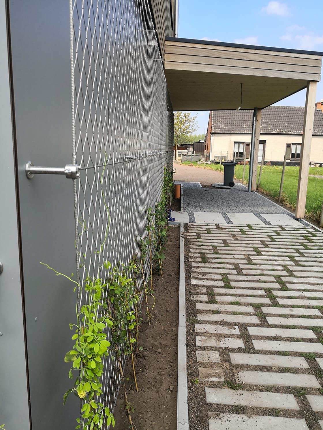 Groengevel in Lokeren, foto 4