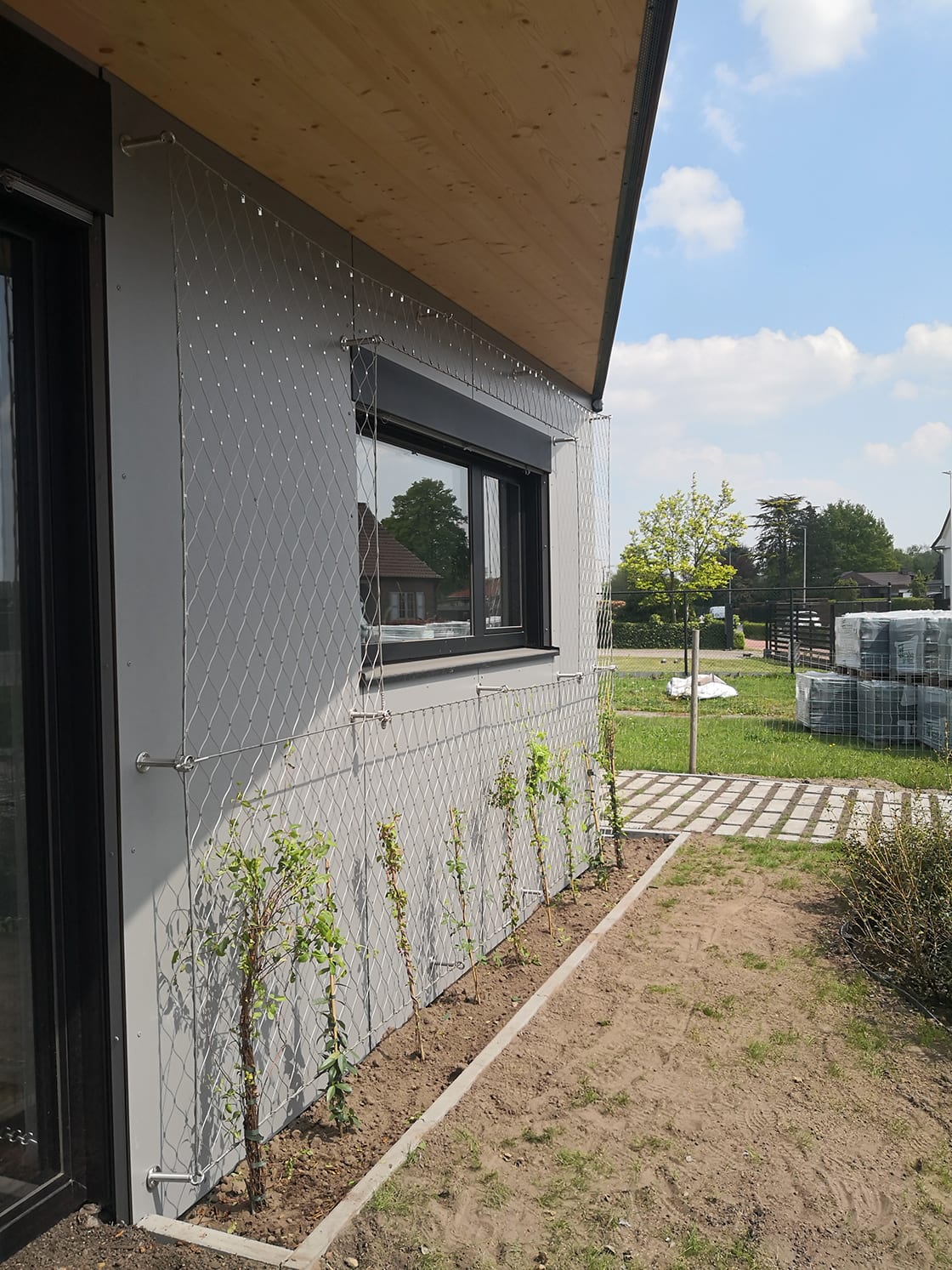 Groengevel in Lokeren, foto 5