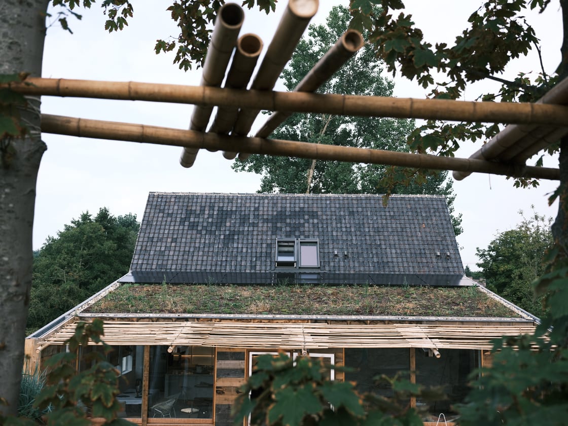 Hellend groendak in Nieuwpoort, foto 3