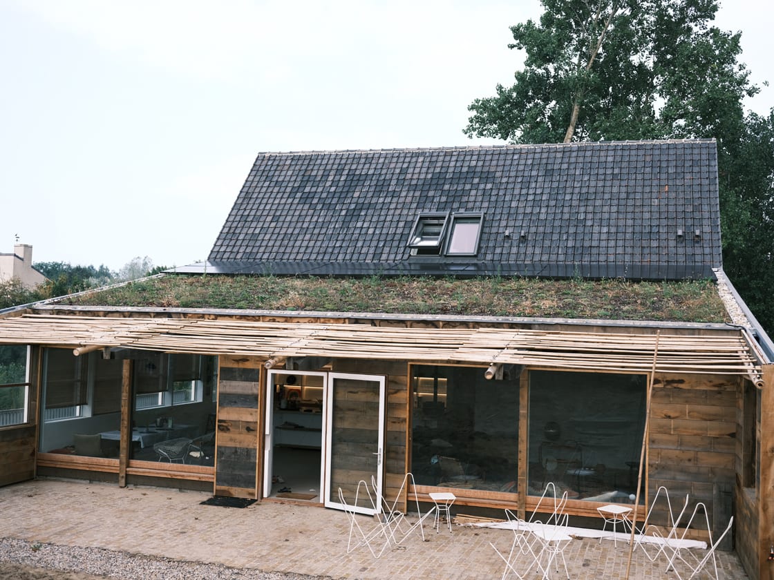 Hellend groendak in Nieuwpoort, foto 4