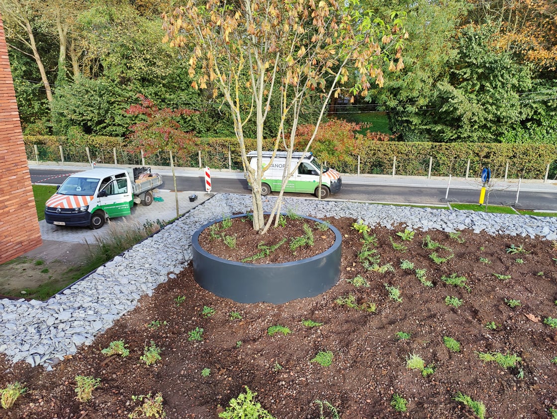 Semi-intensief groendak in Laarne, foto 6