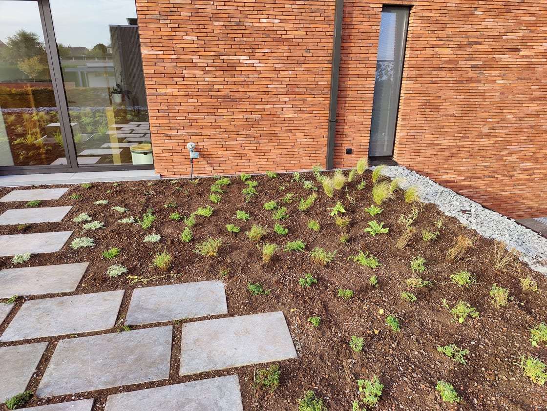 Semi-intensief groendak in Laarne, foto 7