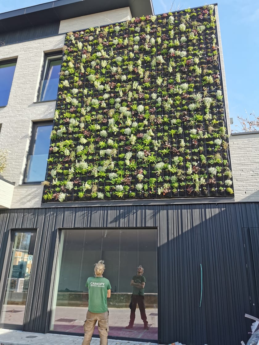 Gentsche Baen, Sint-Niklaas, foto 6