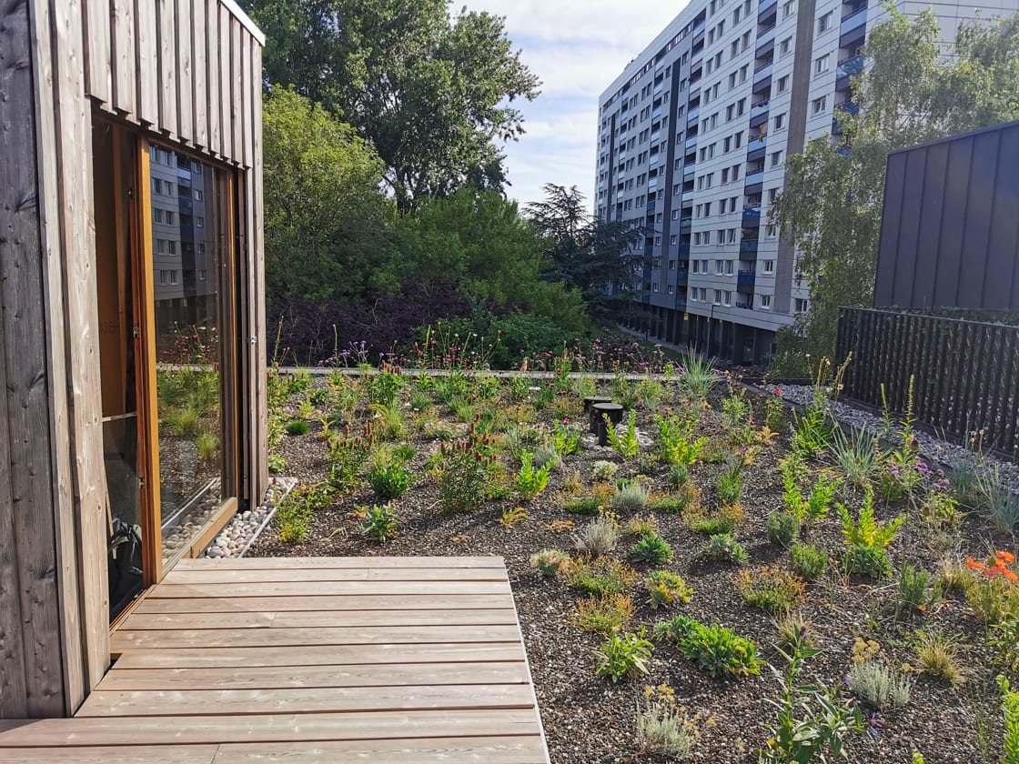Semi-intensief groendak in Gent, foto 2