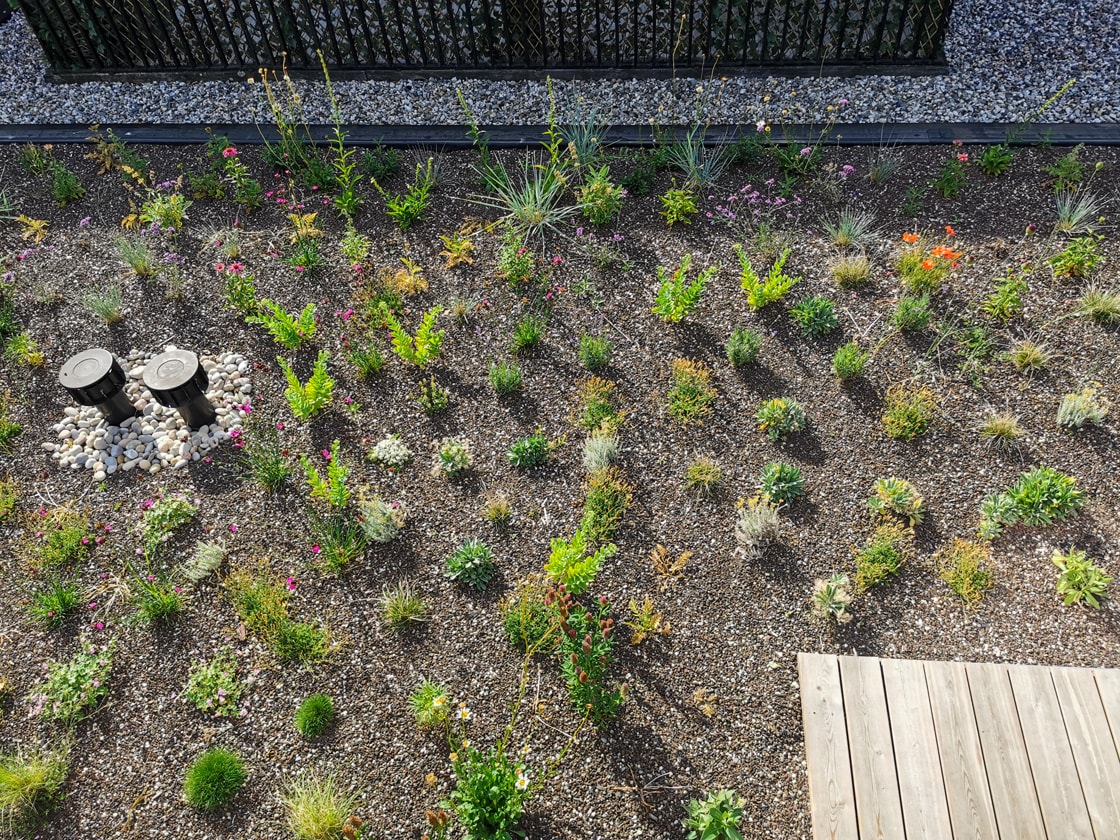 Semi-intensief groendak in Gent, foto 4
