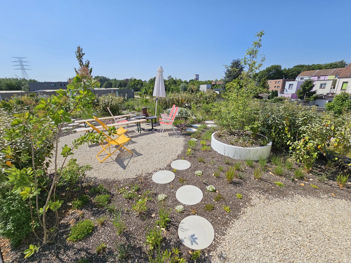 Daktuin in Gent, foto 5