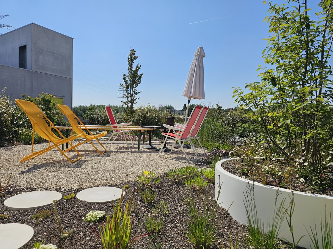 Daktuin in Gent, foto 6