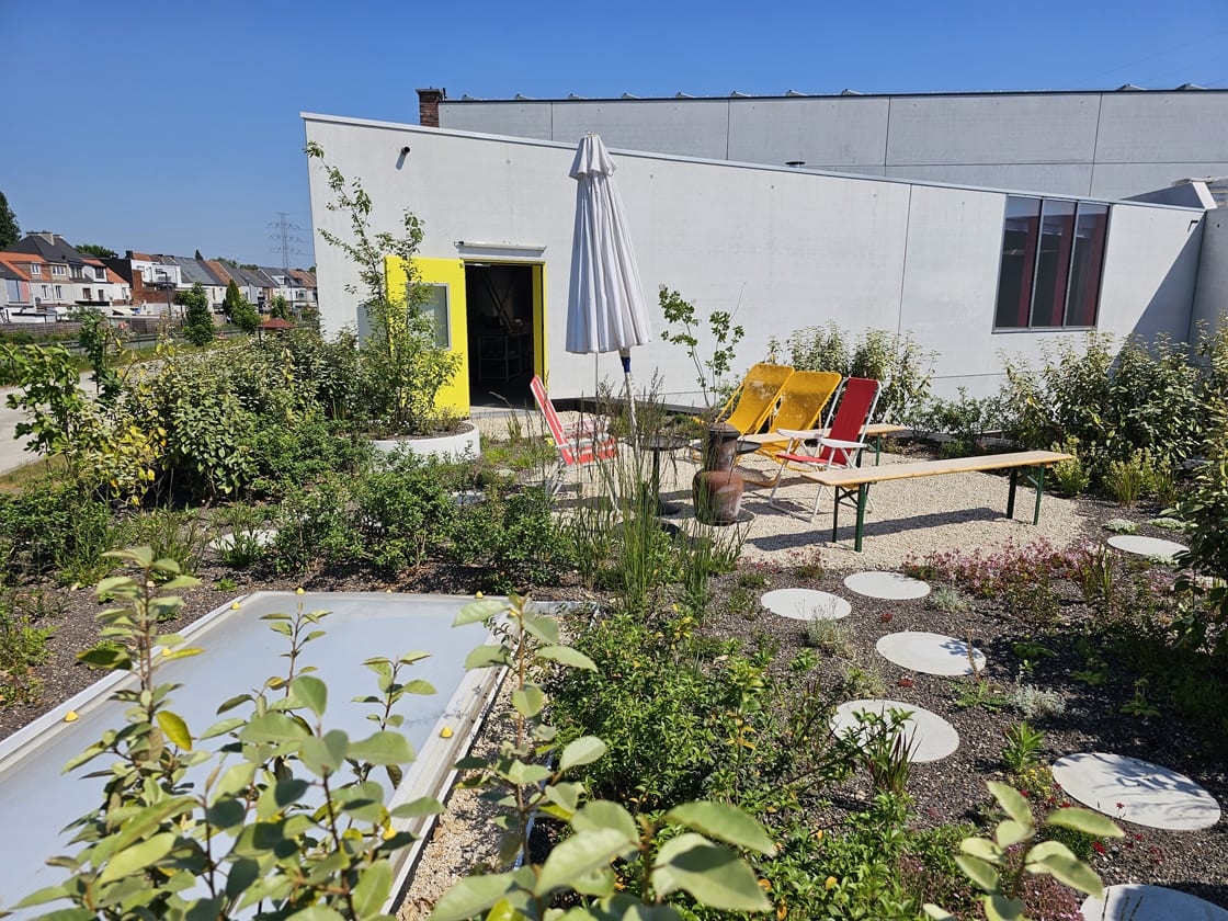 Daktuin in Gent, foto 7