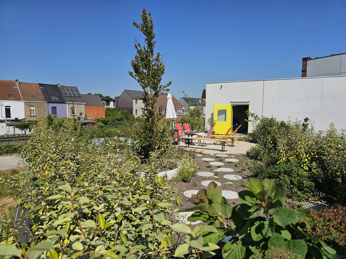 Daktuin in Gent, foto 9