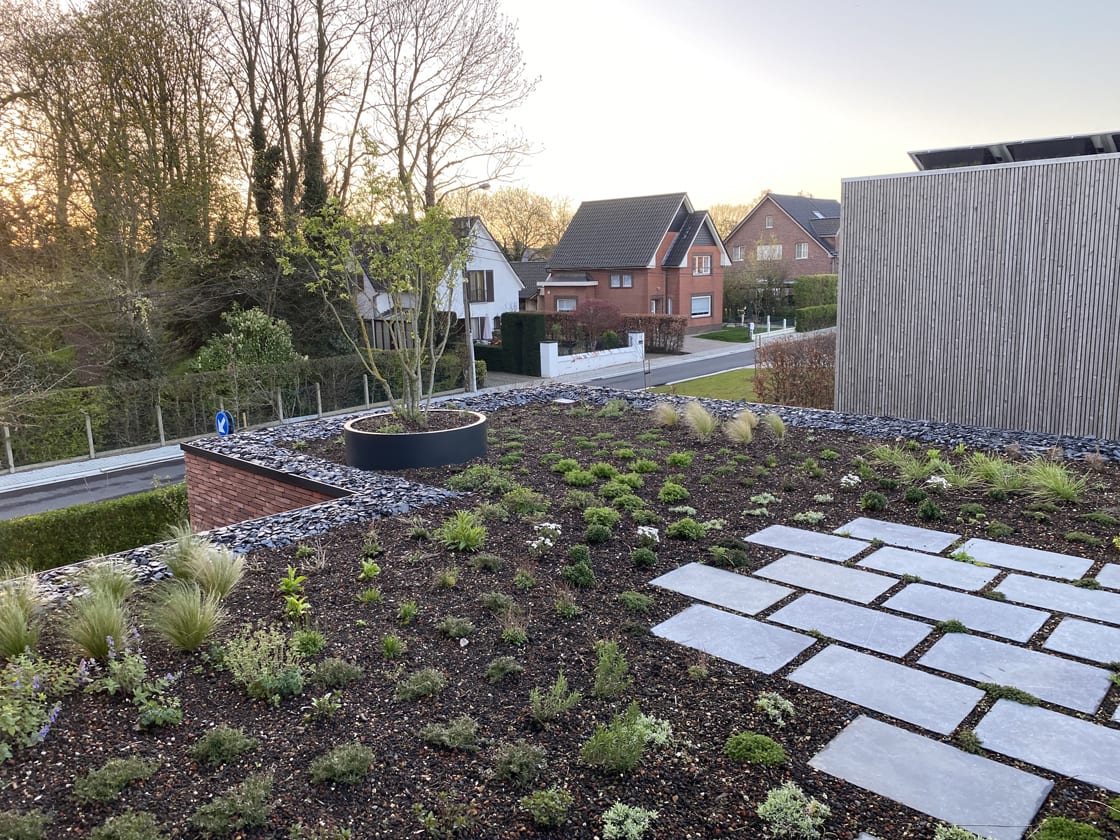 Semi-intensief groendak in Laarne, foto 4
