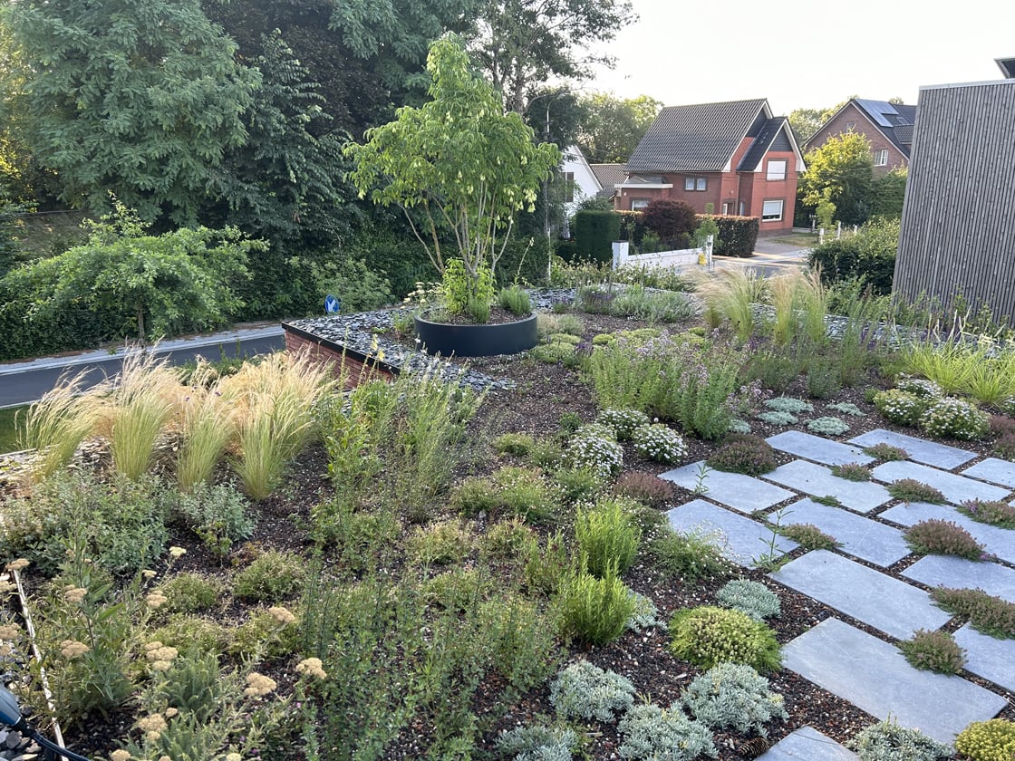 Semi-intensief groendak in Laarne, foto 3