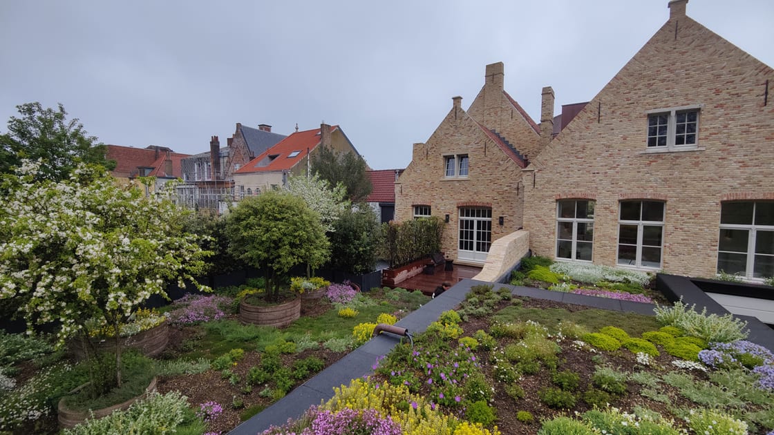 Semi-intensief groendak in Brugge, foto 4