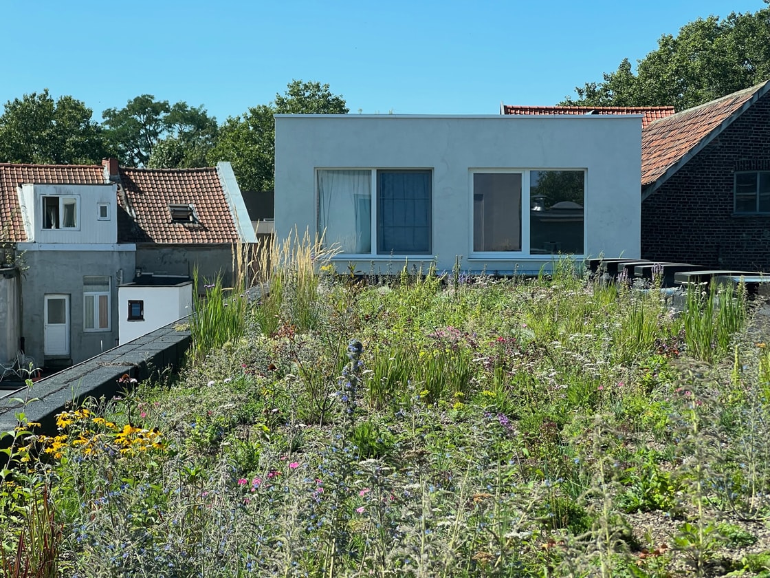 Co-Housing Jean, Gent, foto 11