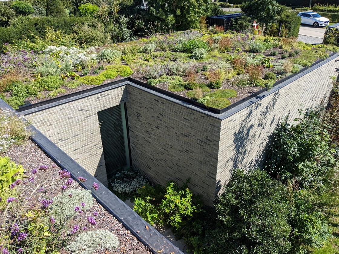 Semi-intensief groendak in Astene, foto 2