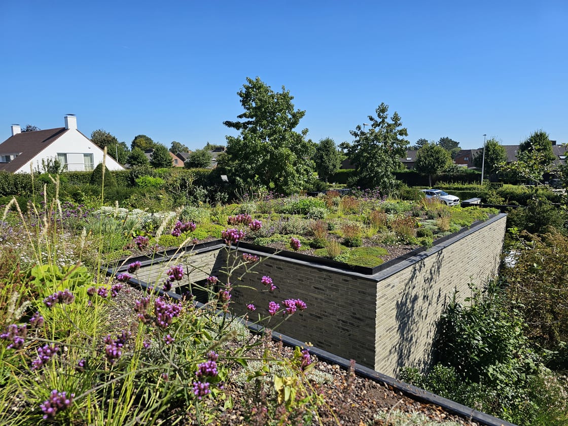 Semi-intensief groendak in Astene, foto 6