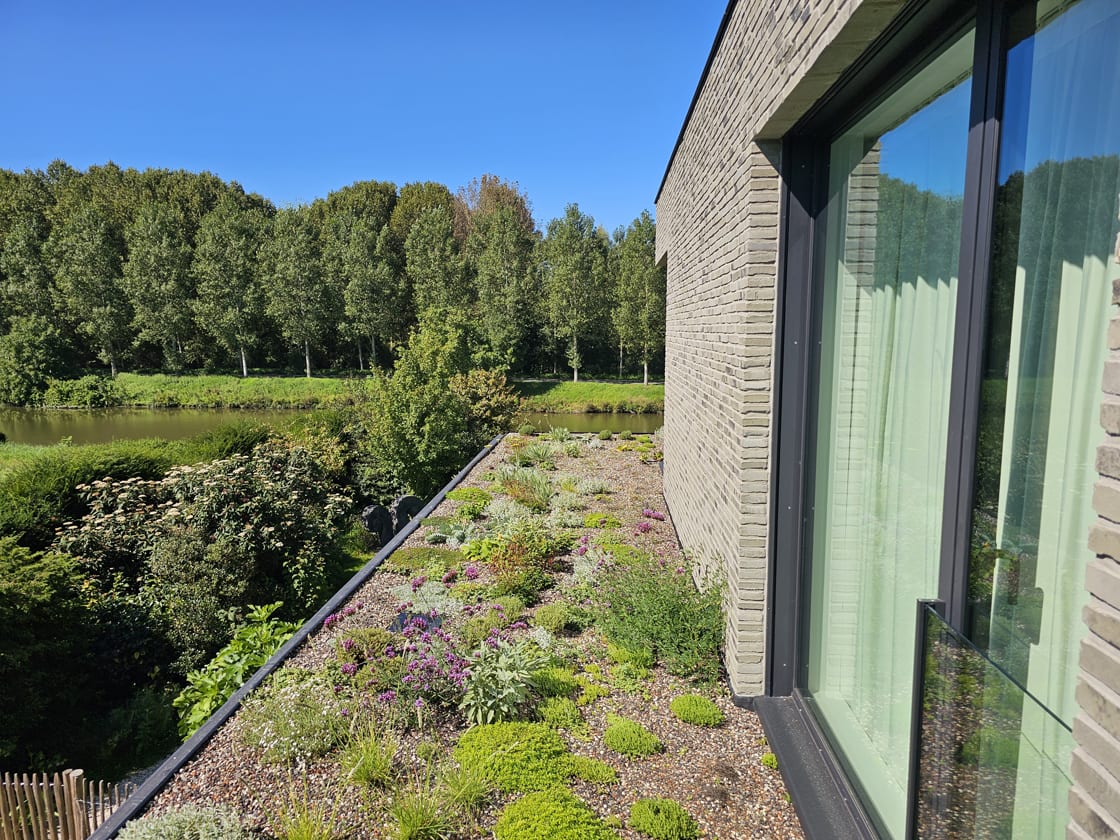 Semi-intensief groendak in Astene, foto 7