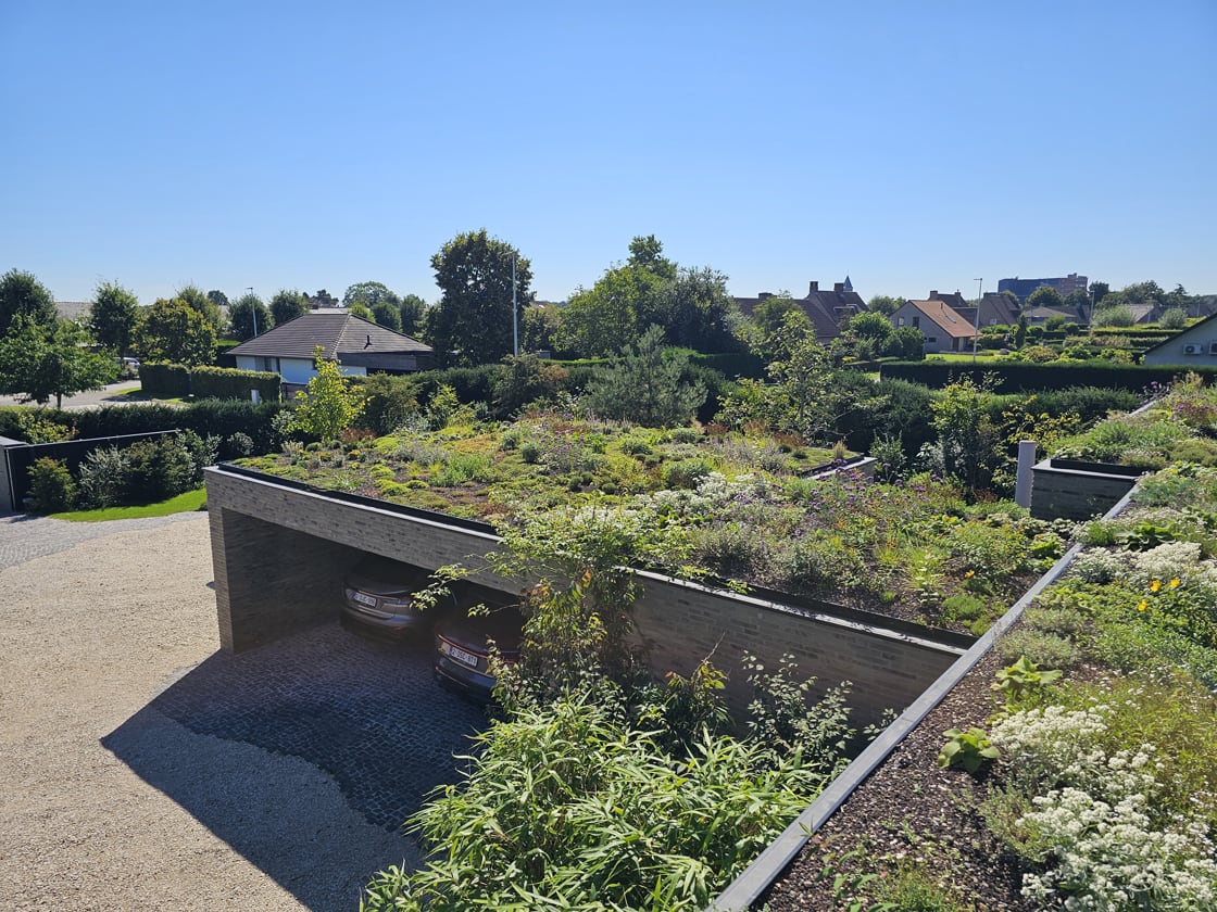 Semi-intensief groendak in Astene, foto 10