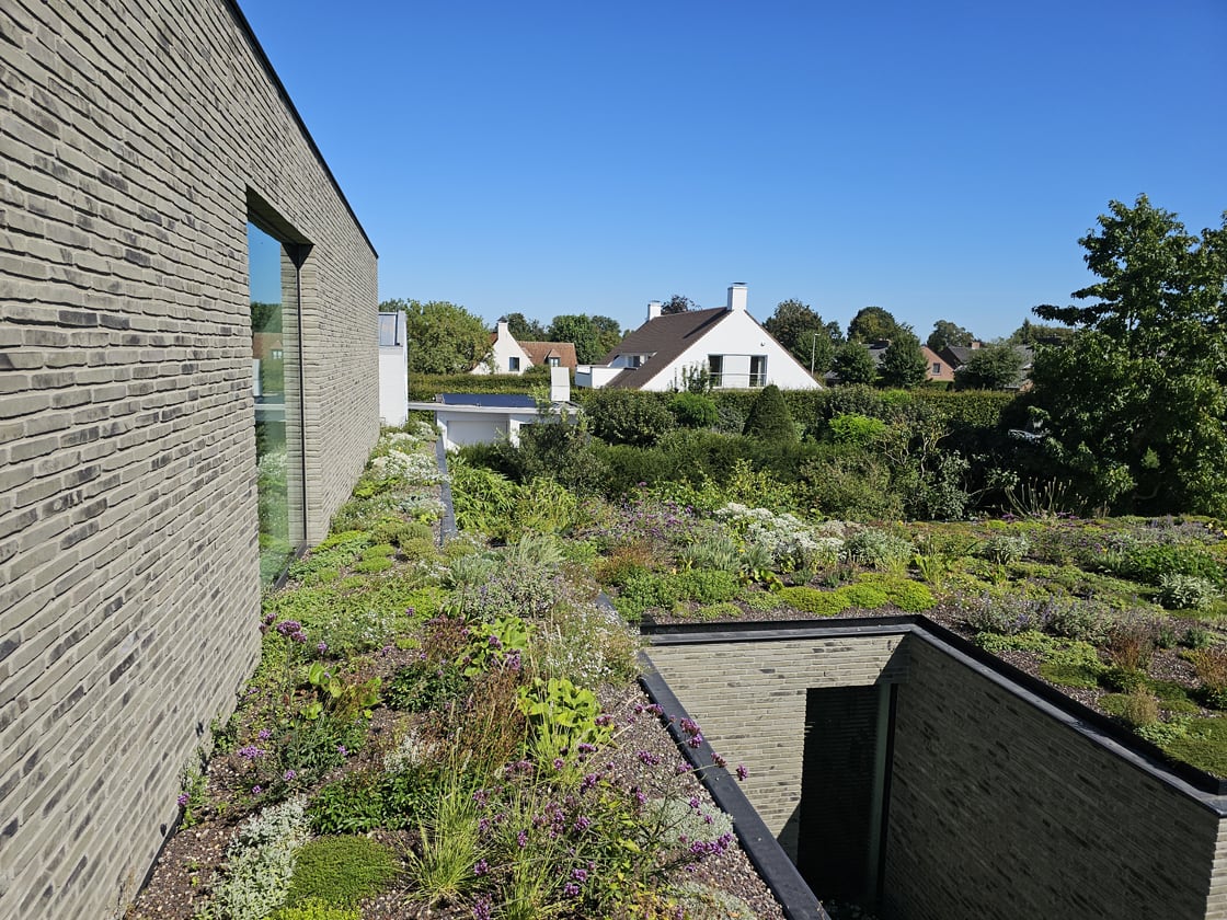 Semi-intensief groendak in Astene, foto 11