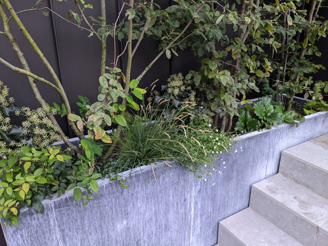 Dakterras met plantenbakken in Brussel, foto 5