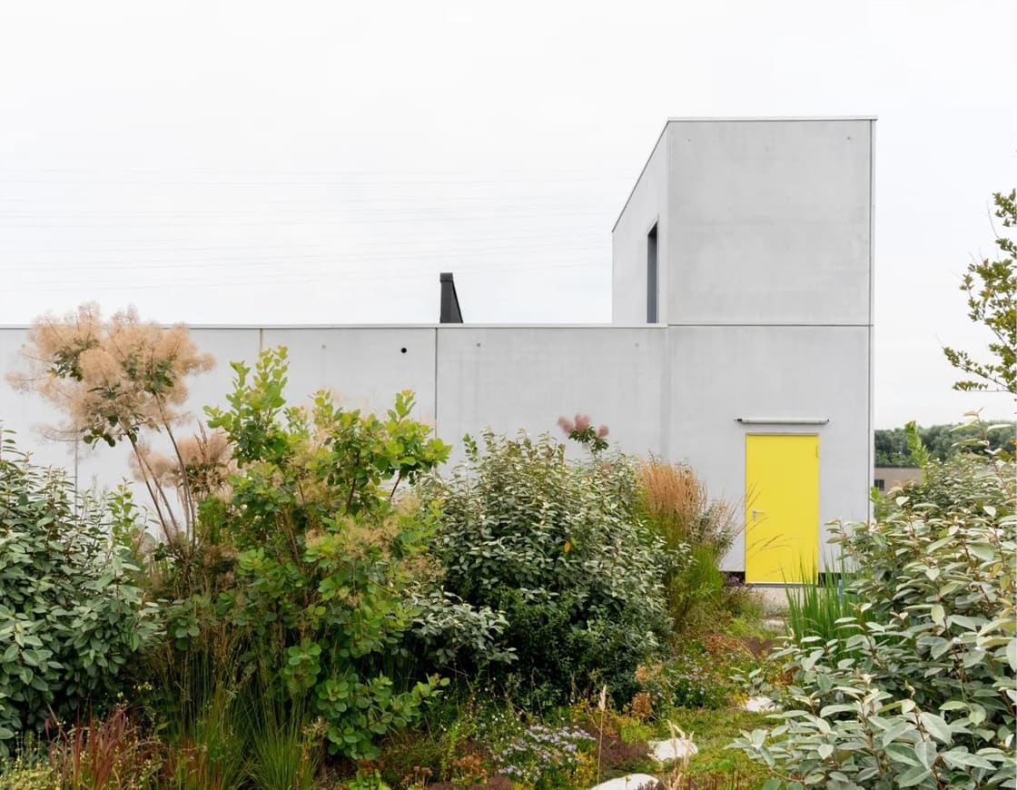 Daktuin in Gent, foto 3