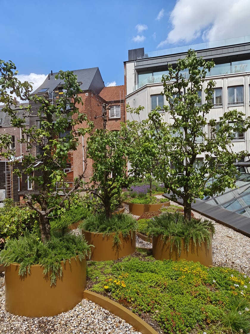 YALO Hotel, Gent, foto 2