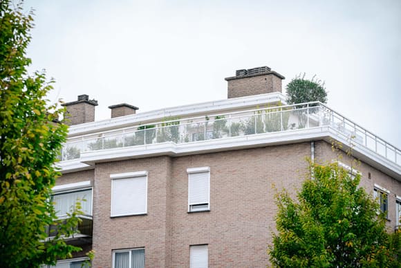 Daktuin met vijver in Borsbeek, foto 16