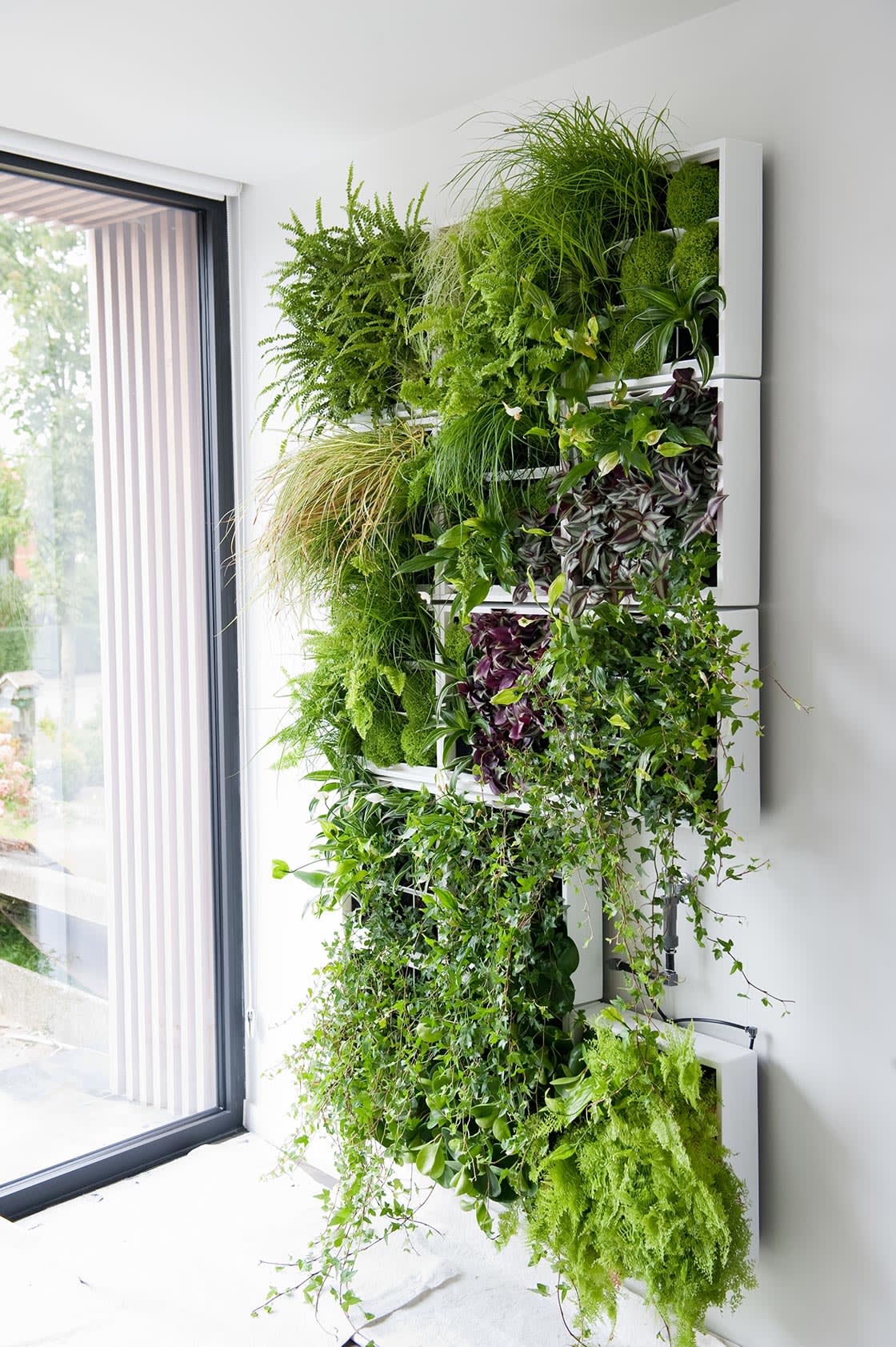 Groengevel in Zomergem: groengevel door Canopy in Zomergem