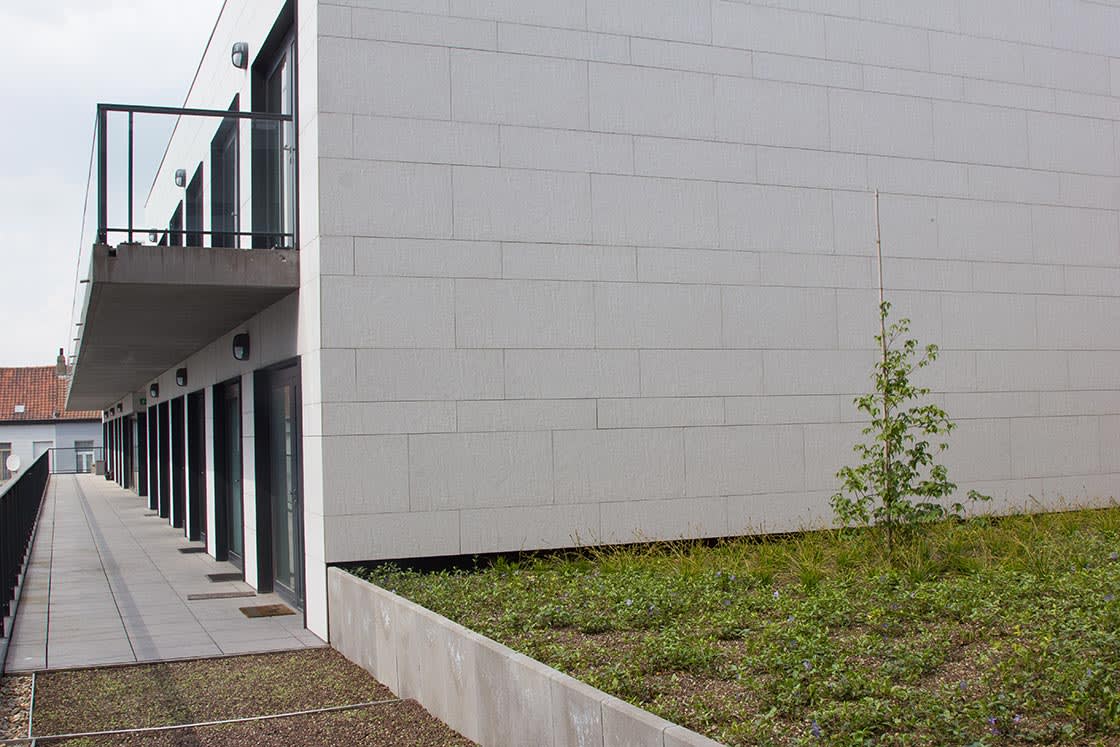 Daktuin in Gent: daktuin door Canopy in Gent