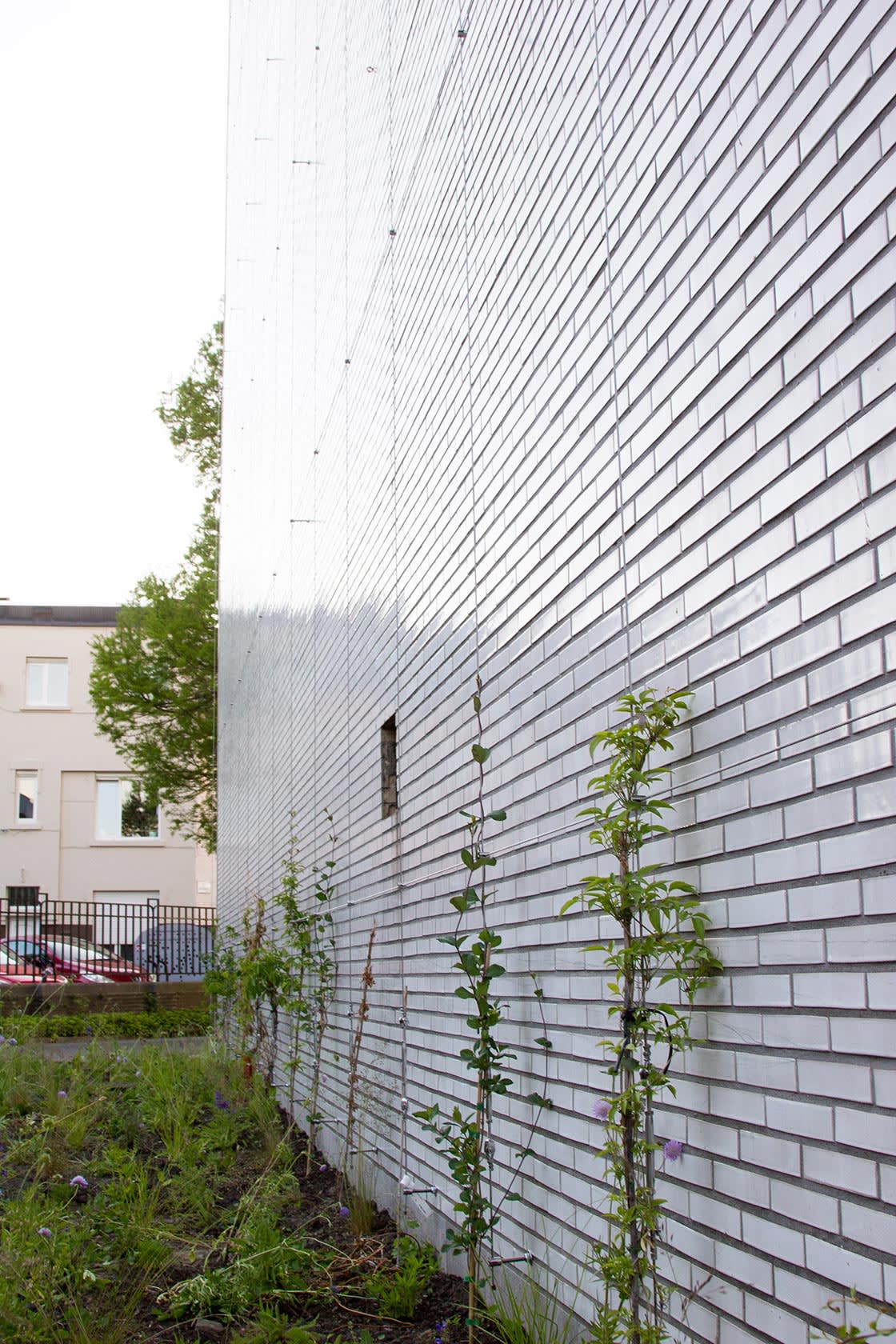 Ugent, Gent: groengevel door Canopy in Gent