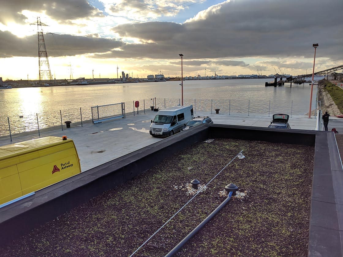 Sedumdak in Kallo: sedumdak door Canopy in Kallo