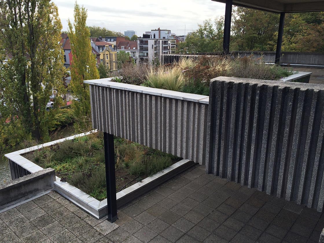 Semi-intensief groendak in Gent: semi-intensief groendak door Canopy in Gent