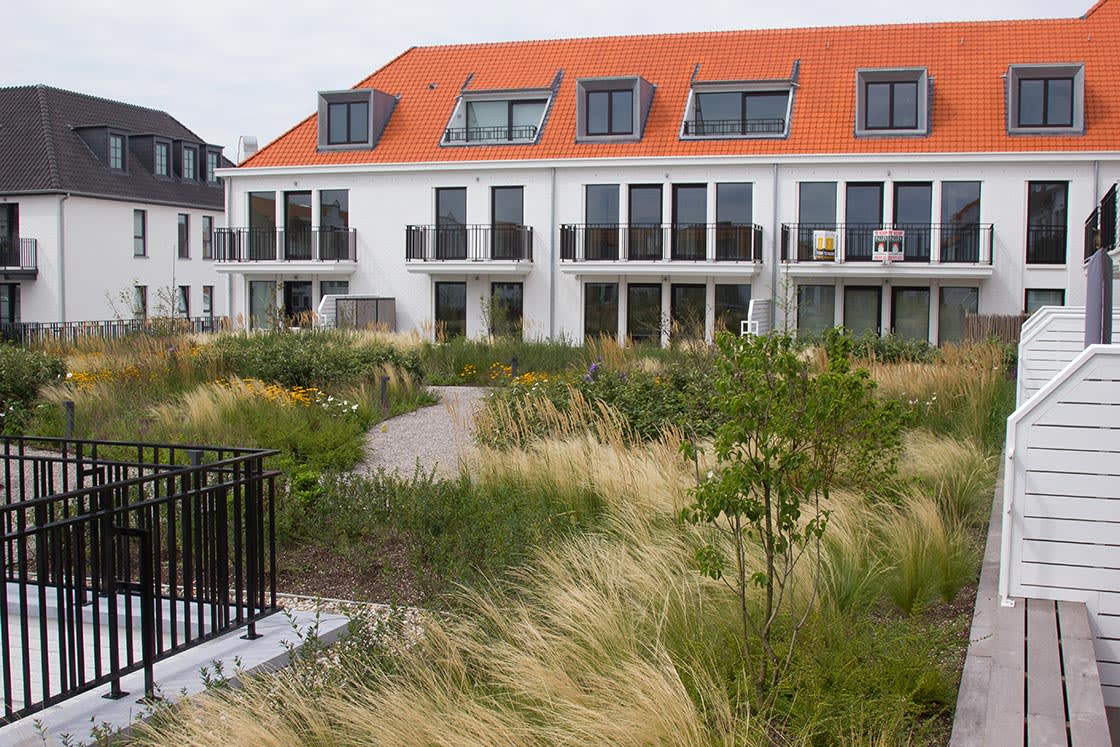 Duinenwater, Knokke-Heist: daktuin door Canopy in Knokke-Heist