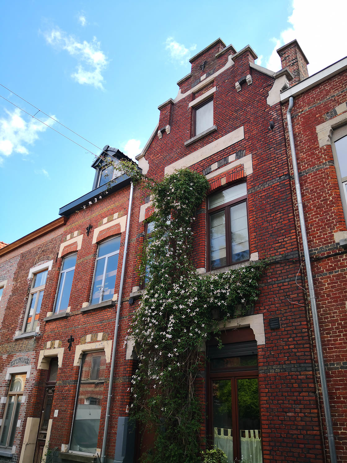 Groenslingers, Stad Gent: groengevel door Canopy in Stad Gent