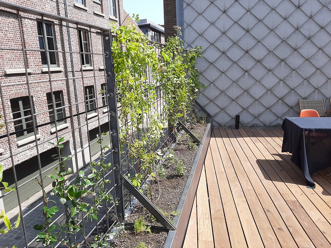 Amandina, Gent: dakterras met plantenbakken door Canopy in Gent