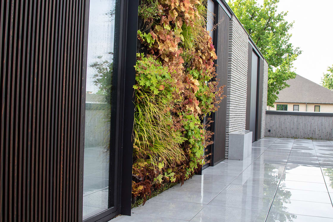 Groengevel in Temse: groengevel door Canopy in Temse
