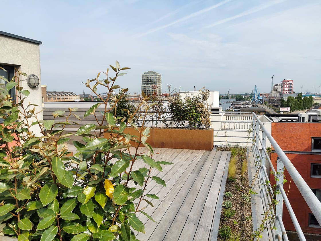 Dakterras met plantenbakken in Gent: dakterras met plantenbakken door Canopy in Gent