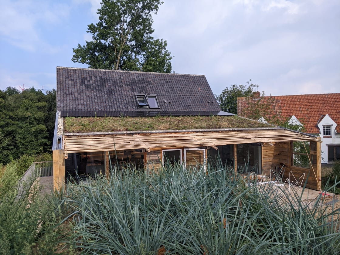 Hellend groendak in Nieuwpoort: hellend groendak door Canopy in Nieuwpoort