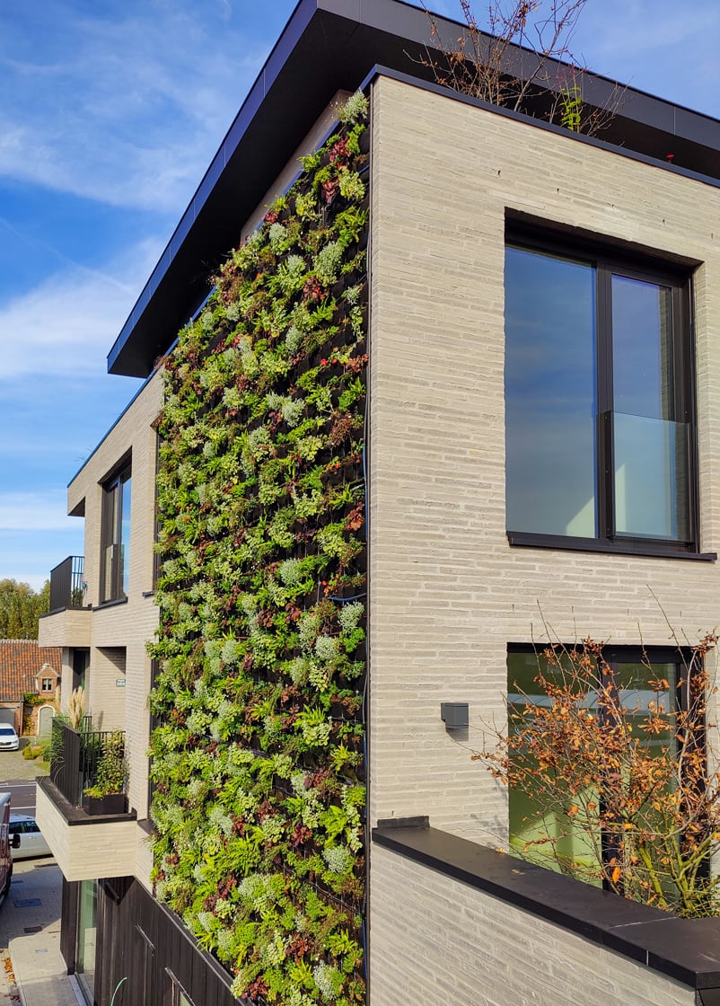 Gentsche Baen, Sint-Niklaas: groengevel door Canopy in Sint-Niklaas