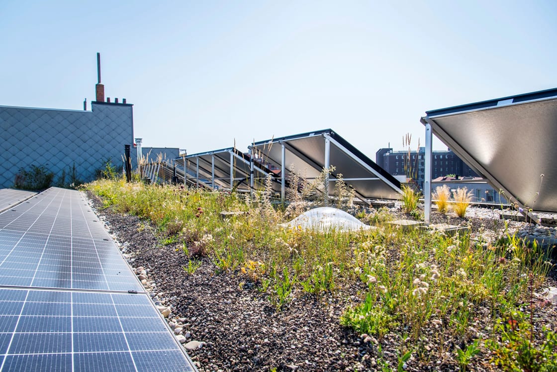 Co-Housing De Kazerne, Deurne: natuurdak door Canopy in Deurne
