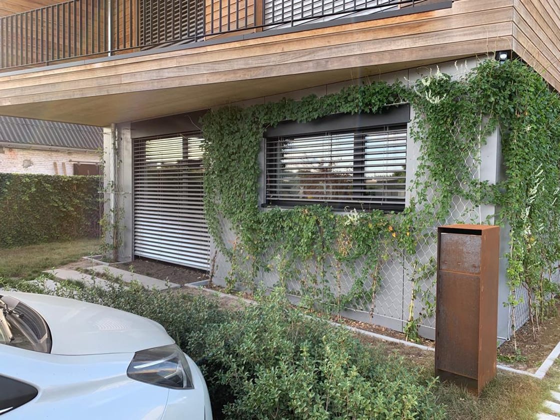 Groengevel in Lokeren: groengevel door Canopy in Lokeren
