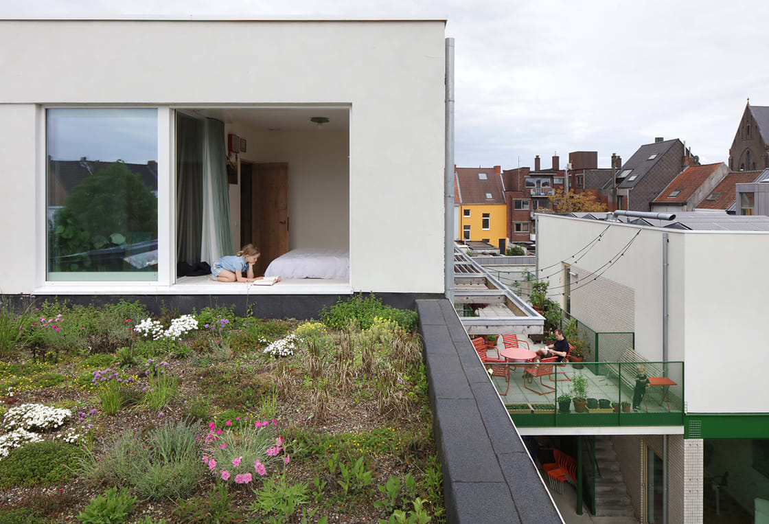 Co-Housing Jean, Gent: natuurdak door Canopy in Gent