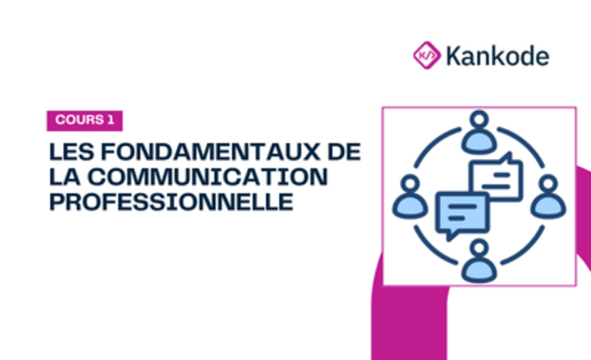 COURS 1 : LES FONDAMENTAUX DE LA COMMUNICATION PROFESSIONNELLE