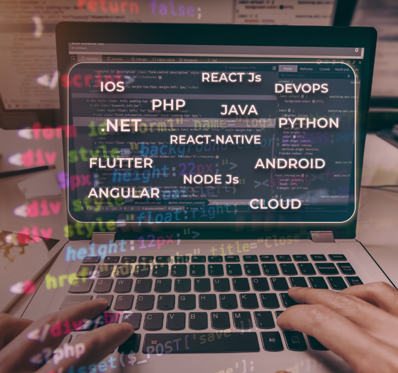 Web development services