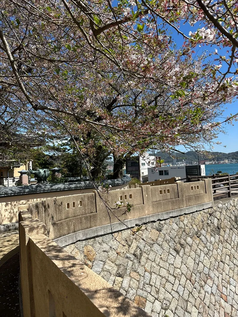 李鴻章道，還有一點櫻花（？）
