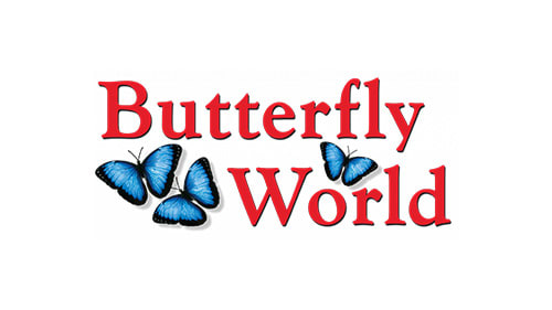 Butterfly-World