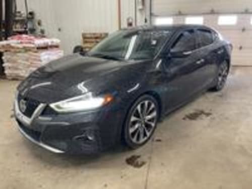 2022 Nissan Maxima Platinum #2361