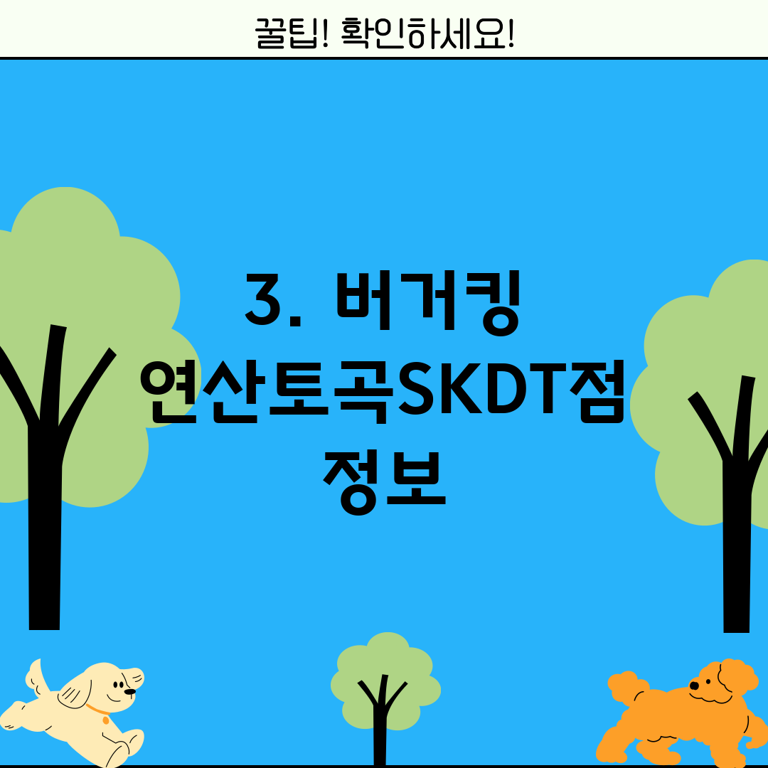 3. 버거킹 연산토곡SKDT점 정보