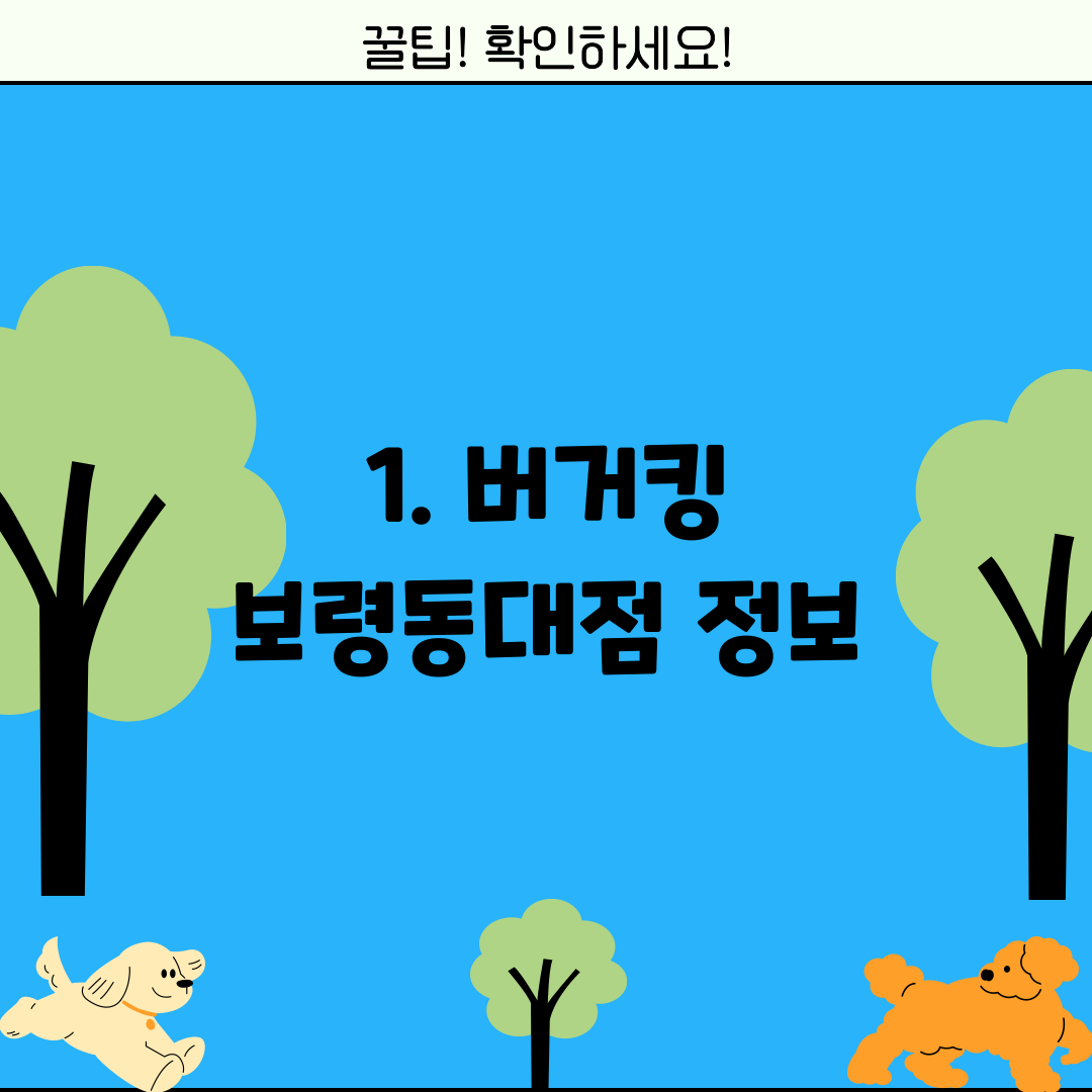 1. 버거킹 보령동대점 정보